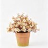 Artificial Flower Wild flower in Paper pulp pot GS-03326133-Y2 Artificial Flower 20*20*21cm Wild flower in Paper pulp pot GS-03326133-Y2 2026SEP 3,000+ sqm showroom with thousands of artificial flowers, plants & trees ready for global sourcing.