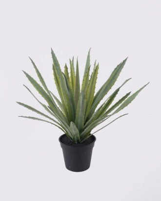 Artificial Plant 45*45*43cm Aloe in Cement GS-03326121R 2026SEP 3,000+ sqm showroom with thousands of artificial flowers, plants & trees ready for global sourcing. Artificial Plant 45*45*43cm Aloe in Cement GS-03326121R 2026SEP 3,000+ sqm showroom with thousands of artificial flowers, plants & trees ready for global sourcing.