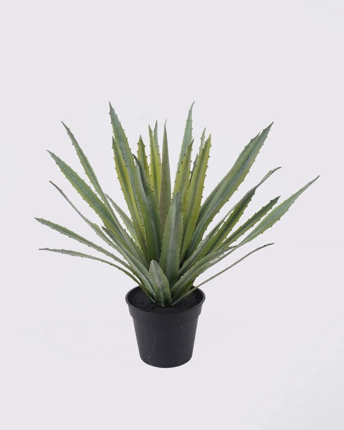 Artificial Plant 45*45*43cm Aloe in Cement GS-03326121R 2026SEP 3,000+ sqm showroom with thousands of artificial flowers, plants & trees ready for global sourcing.