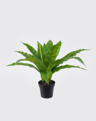 Artificial Plant 58*58*40cm Asplenium nidus in PP pot GS-03325038RP-G1 2026SEP 3,000+ sqm showroom with thousands of artificial flowers, plants & trees ready for global sourcing. Artificial Plant 58*58*40cm Asplenium nidus in PP pot GS-03325038RP-G1 2026SEP 3,000+ sqm showroom with thousands of artificial flowers, plants & trees ready for global sourcing.