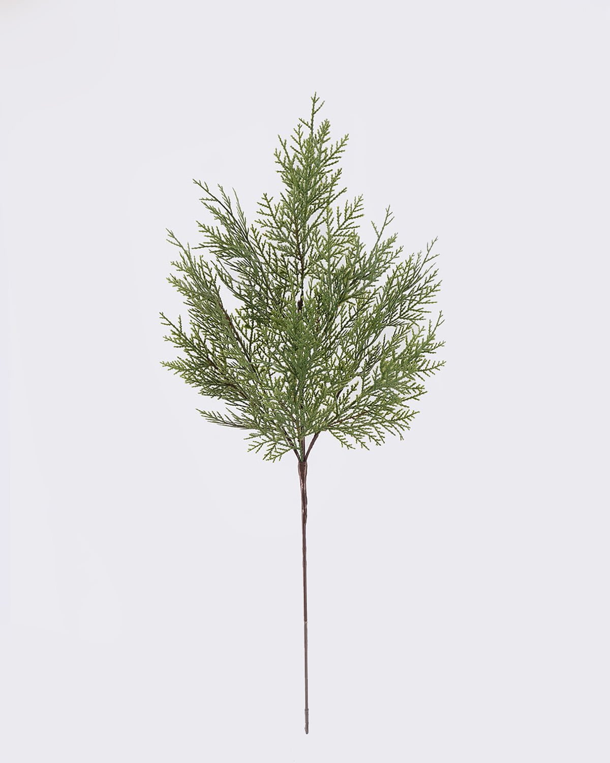 Artificial Plant 26*6*76cm Cypress single stem GS-51626025 - Silk ...