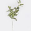 Artificial Plant Eyebrow leaf 3 single stem GS-29822071CT-R_4 Artificial Plant 20*20*67cm Eyebrow leaf *3 single stem GS-29822071CT-R 2026Oct 3,000+ sqm showroom with thousands of artificial flowers, plants & trees ready for global sourcing.