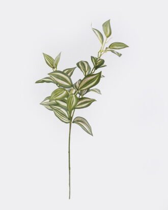 Artificial Plant 20*20*67cm Eyebrow leaf *3 single stem GS-29822071CT-R 2026Oct 3,000+ sqm showroom with thousands of artificial flowers, plants & trees ready for global sourcing. Artificial Plant 20*20*67cm Eyebrow leaf *3 single stem GS-29822071CT-R 2026Oct 3,000+ sqm showroom with thousands of artificial flowers, plants & trees ready for global sourcing.