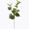 Artificial Plant 20*20*67CM Heart Lvs *3 single stem GS-2980010CT-R 2026Oct 3,000+ sqm showroom with thousands of artificial flowers, plants & trees ready for global sourcing.