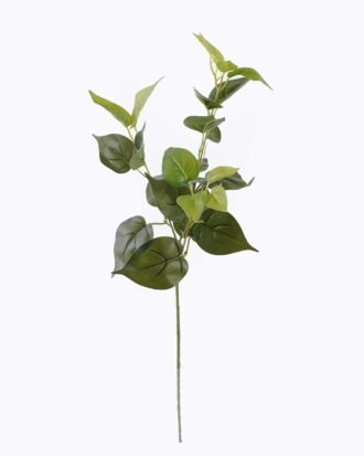 Artificial Plant 20*20*67CM Heart Lvs *3 single stem GS-2980010CT-R 2026Oct 3,000+ sqm showroom with thousands of artificial flowers, plants & trees ready for global sourcing. Artificial Plant 20*20*67CM Heart Lvs *3 single stem GS-2980010CT-R 2026Oct 3,000+ sqm showroom with thousands of artificial flowers, plants & trees ready for global sourcing.