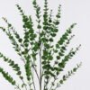 Artificial Plant Leaf 4 single stem GS-07226020_3 Artificial Plant 26*6*108cm Leaf *4 single stem GS-07226020 2026SEP 3,000+ sqm showroom with thousands of artificial flowers, plants & trees ready for global sourcing.