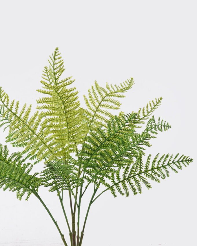 Artificial Plant 24*5*55cm Leaf *5 bush GS-07226001 2026SEP 3,000+ sqm showroom with thousands of artificial flowers, plants & trees ready for global sourcing.