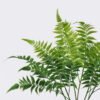 Artificial Plant Leaf 5 bush GS-07226002_1 Artificial Plant 23*5*61cm Leaf *5 bush GS-07226002 2026SEP 3,000+ sqm showroom with thousands of artificial flowers, plants & trees ready for global sourcing.