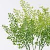 Artificial Plant Leaf 5 bush GS-07226003_1 Artificial Plant 8*4*50cm Leaf *5 bush GS-07226003 2026SEP 3,000+ sqm showroom with thousands of artificial flowers, plants & trees ready for global sourcing.