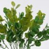 Artificial Plant Leaf 5 bush GS-07226004_1 Artificial Plant 28*6*60cm Leaf *5 bush GS-07226004 2026SEP 3,000+ sqm showroom with thousands of artificial flowers, plants & trees ready for global sourcing.