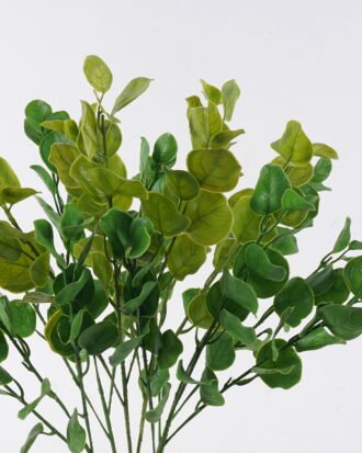 Artificial Plant 28*6*60cm Leaf *5 bush GS-07226004 2026SEP 3,000+ sqm showroom with thousands of artificial flowers, plants & trees ready for global sourcing. Artificial Plant 28*6*60cm Leaf *5 bush GS-07226004 2026SEP 3,000+ sqm showroom with thousands of artificial flowers, plants & trees ready for global sourcing.