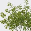 Artificial Plant Leaf 5 bush GS-07226005_2 Artificial Plant 24*6*55cm Leaf *5 bush GS-07226005 2026SEP 3,000+ sqm showroom with thousands of artificial flowers, plants & trees ready for global sourcing.