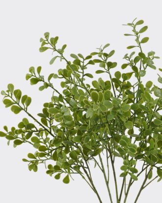 Artificial Plant 24*6*55cm Leaf *5 bush GS-07226005 2026SEP 3,000+ sqm showroom with thousands of artificial flowers, plants & trees ready for global sourcing. Artificial Plant 24*6*55cm Leaf *5 bush GS-07226005 2026SEP 3,000+ sqm showroom with thousands of artificial flowers, plants & trees ready for global sourcing.