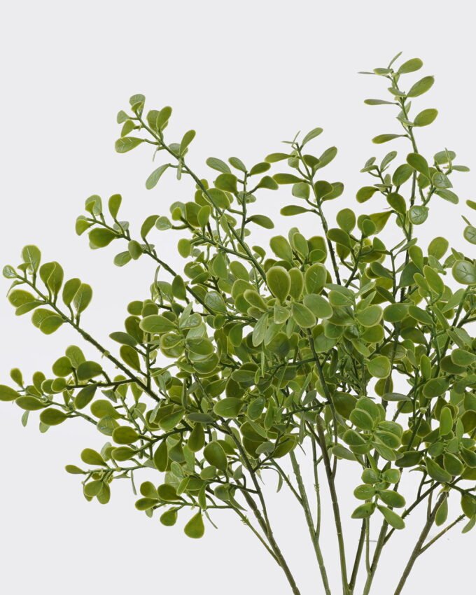 Artificial Plant 24*6*55cm Leaf *5 bush GS-07226005 2026SEP 3,000+ sqm showroom with thousands of artificial flowers, plants & trees ready for global sourcing.