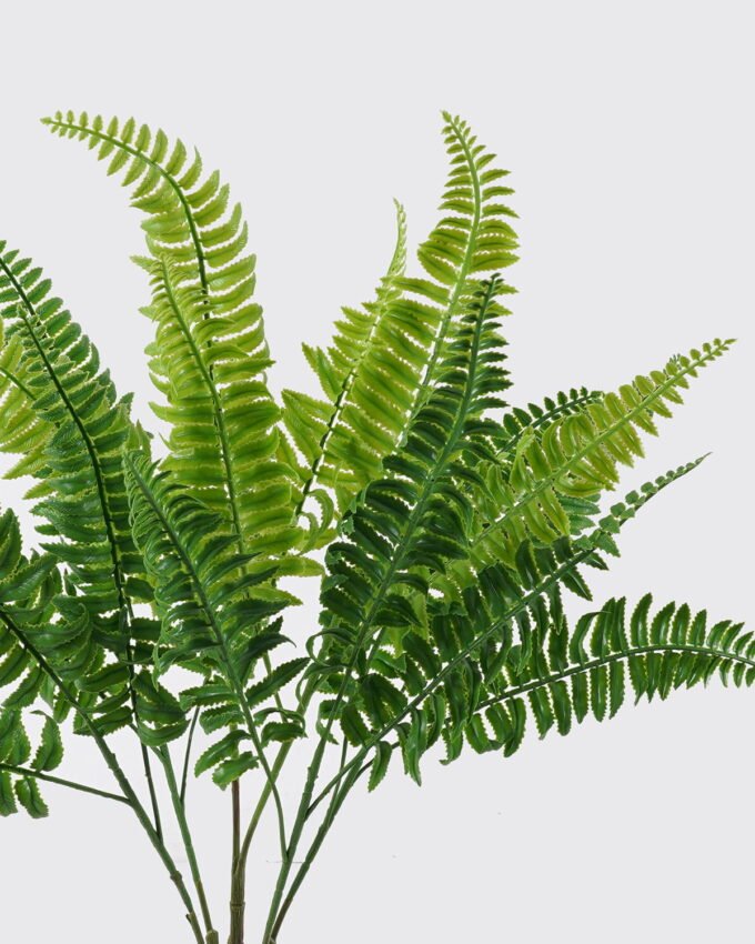 Artificial Plant 24*6*56cm Leaf *5 bush GS-07226007 2026SEP 3,000+ sqm showroom with thousands of artificial flowers, plants & trees ready for global sourcing.