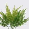Artificial Plant Leaf 5 bush GS-07226008_1 Artificial Plant 23*5*56cm Leaf *5 bush GS-07226008 2026SEP 3,000+ sqm showroom with thousands of artificial flowers, plants & trees ready for global sourcing.