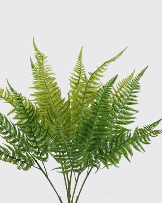 Artificial Plant 23*5*56cm Leaf *5 bush GS-07226008 2026SEP 3,000+ sqm showroom with thousands of artificial flowers, plants & trees ready for global sourcing. Artificial Plant 23*5*56cm Leaf *5 bush GS-07226008 2026SEP 3,000+ sqm showroom with thousands of artificial flowers, plants & trees ready for global sourcing.