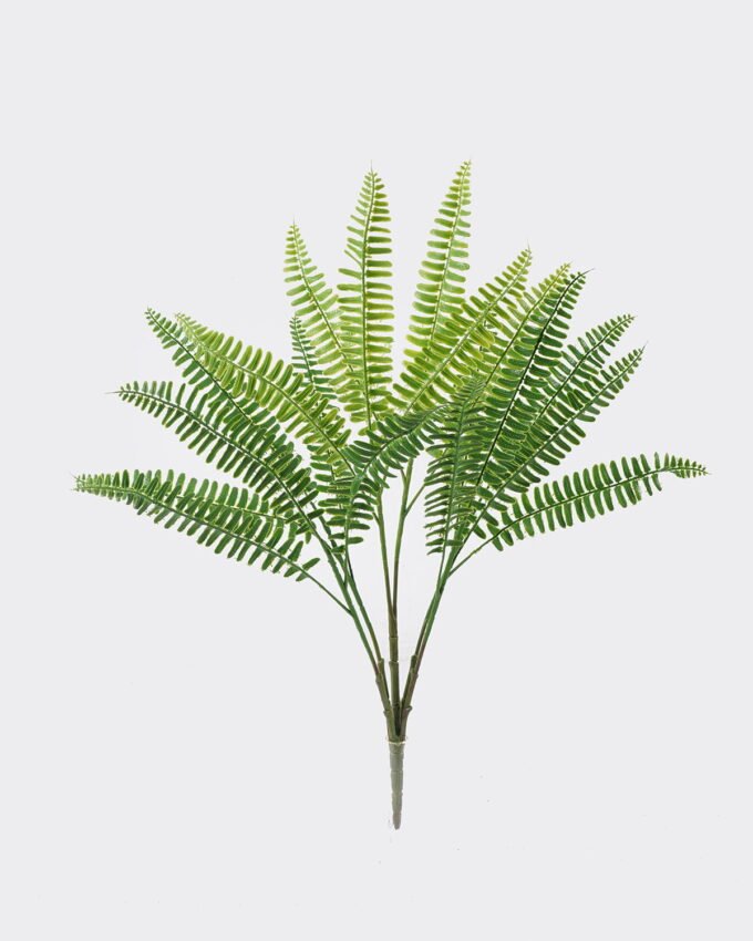 Artificial Plant 24*6*55cm Leaf *5 bush GS-07226011 2026SEP 3,000+ sqm showroom with thousands of artificial flowers, plants & trees ready for global sourcing.