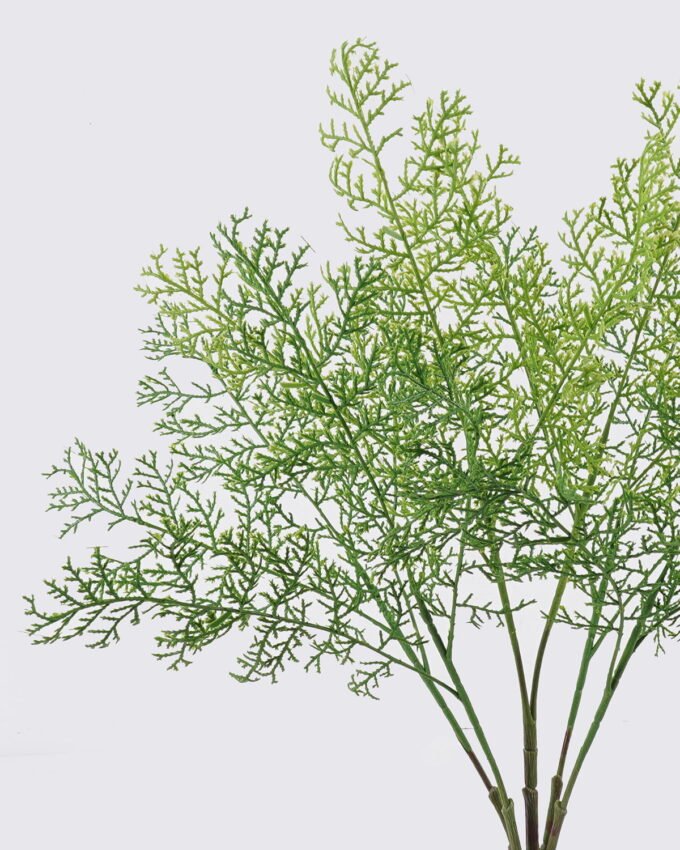 Artificial Plant 24*6*54cm Leaf *5 bush GS-07226015 2026SEP 3,000+ sqm showroom with thousands of artificial flowers, plants & trees ready for global sourcing.