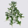 Artificial Plant Leaf hanging 49 lvs GS-42926009 Artificial Plant 23*12*45cm Leaf hanging/49 lvs GS-42926009 2026Oct 3,000+ sqm showroom with thousands of artificial flowers, plants & trees ready for global sourcing.