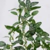 Artificial Plant Leaf hanging 49 lvs GS-42926009_3 Artificial Plant 23*12*45cm Leaf hanging/49 lvs GS-42926009 2026Oct 3,000+ sqm showroom with thousands of artificial flowers, plants & trees ready for global sourcing.