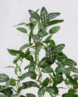 Artificial Plant 23*12*45cm Leaf hanging/49 lvs GS-42926009 2026Oct 3,000+ sqm showroom with thousands of artificial flowers, plants & trees ready for global sourcing. Artificial Plant 23*12*45cm Leaf hanging/49 lvs GS-42926009 2026Oct 3,000+ sqm showroom with thousands of artificial flowers, plants & trees ready for global sourcing.
