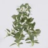 Artificial Plant Leaf hanging 49 lvs GS-42926010_3 Artificial Plant 23*12*45cm Leaf hanging/49 lvs GS-42926010 2026Oct 3,000+ sqm showroom with thousands of artificial flowers, plants & trees ready for global sourcing.