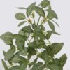 Artificial Plant Leaf hanging 49 lvs GS-42926010_4 Artificial Plant 23*12*45cm Leaf hanging/49 lvs GS-42926010 2026Oct 3,000+ sqm showroom with thousands of artificial flowers, plants & trees ready for global sourcing.