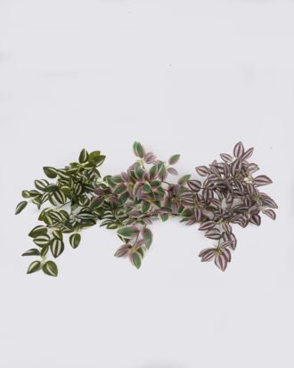 Artificial Plant 29*20*50cm Leaf hanging/94 lvs GS-42926005 2026Oct 3,000+ sqm showroom with thousands of artificial flowers, plants & trees ready for global sourcing. Artificial Plant 29*20*50cm Leaf hanging/94 lvs GS-42926005 2026Oct 3,000+ sqm showroom with thousands of artificial flowers, plants & trees ready for global sourcing.