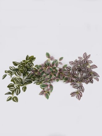 Artificial Plant 75*75*96cm Scarecrow in PP pot/156 lvs GS-41926025-G1 2026Oct 3,000+ sqm showroom with thousands of artificial flowers, plants & trees ready for global sourcing.