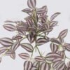 Artificial Plant Leaf hanging 94 lvs GS-42926005_3 Artificial Plant 29*20*50cm Leaf hanging/94 lvs GS-42926005 2026Oct 3,000+ sqm showroom with thousands of artificial flowers, plants & trees ready for global sourcing.