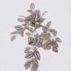 Artificial Plant Leaf hanging 94 lvs GS-42926005_4 Artificial Plant 29*20*50cm Leaf hanging/94 lvs GS-42926005 2026Oct 3,000+ sqm showroom with thousands of artificial flowers, plants & trees ready for global sourcing.