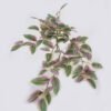 Artificial Plant Leaf hanging 94 lvs GS-42926005_6 Artificial Plant 29*20*50cm Leaf hanging/94 lvs GS-42926005 2026Oct 3,000+ sqm showroom with thousands of artificial flowers, plants & trees ready for global sourcing.