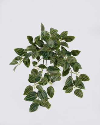 Artificial Plant 33*20*50cm Leaf hanging/94 lvs GS-42926006 2026Oct 3,000+ sqm showroom with thousands of artificial flowers, plants & trees ready for global sourcing. Artificial Plant 33*20*50cm Leaf hanging/94 lvs GS-42926006 2026Oct 3,000+ sqm showroom with thousands of artificial flowers, plants & trees ready for global sourcing.