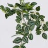 Artificial Plant Leaf hanging 94 lvs GS-42926007_3 Artificial Plant 33*20*50cm Leaf hanging/94 lvs GS-42926007 2026Oct 3,000+ sqm showroom with thousands of artificial flowers, plants & trees ready for global sourcing.