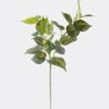 Artificial Plant Leaf single stem GS-29826004CT_4 Artificial Plant 20*20*67cm Leaf single stem GS-29826004CT 2026Oct 3,000+ sqm showroom with thousands of artificial flowers, plants & trees ready for global sourcing.