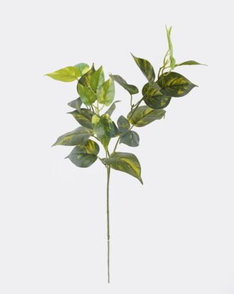 Artificial Plant 20*20*67cm Leaf single stem GS-29826004CT 2026Oct 3,000+ sqm showroom with thousands of artificial flowers, plants & trees ready for global sourcing. Artificial Plant 20*20*67cm Leaf single stem GS-29826004CT 2026Oct 3,000+ sqm showroom with thousands of artificial flowers, plants & trees ready for global sourcing.
