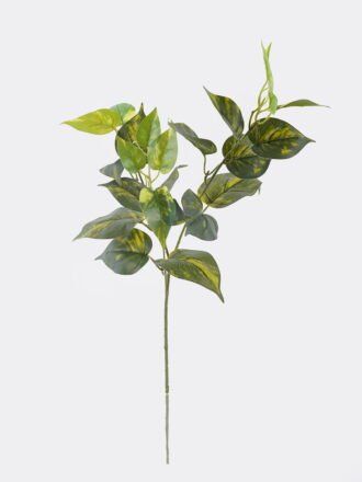 Artificial Plant 48*48*82cm Scindapsus in  pp pot/81 LVS GS-29824057R-G2 2026Oct 3,000+ sqm showroom with thousands of artificial flowers, plants & trees ready for global sourcing.