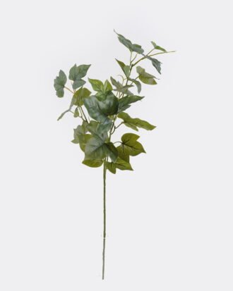 Artificial Plant 20*20*67cm Morning glory leaves *3 single stem GS-29823038CT-R-G1 2026Oct 3,000+ sqm showroom with thousands of artificial flowers, plants & trees ready for global sourcing. Artificial Plant 20*20*67cm Morning glory leaves *3 single stem GS-29823038CT-R-G1 2026Oct 3,000+ sqm showroom with thousands of artificial flowers, plants & trees ready for global sourcing.