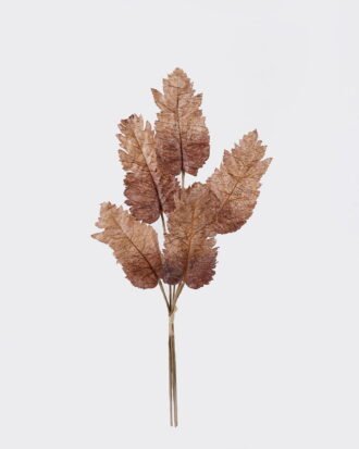 Artificial Plant 13*3*69cm Opium leaf *5 bundle GS-35126023-K2 2026Oct 3,000+ sqm showroom with thousands of artificial flowers, plants & trees ready for global sourcing. Artificial Plant 13*3*69cm Opium leaf *5 bundle GS-35126023-K2 2026Oct 3,000+ sqm showroom with thousands of artificial flowers, plants & trees ready for global sourcing.