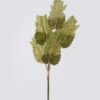 Artificial Plant Opium leaf 5 bundle GS-35126023_3 Artificial Plant 13*3*69cm Opium leaf *5 bundle GS-35126023 2026Oct 3,000+ sqm showroom with thousands of artificial flowers, plants & trees ready for global sourcing.