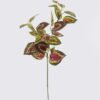 Artificial Plant 20*20*67CM Perilla Leaves *3 single stem GS-2980013CT-R 2026Oct 3,000+ sqm showroom with thousands of artificial flowers, plants & trees ready for global sourcing.