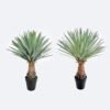 Artificial Plant Scarecrow in PP pot 156 lvs GS-41926022-G2 Artificial Plant 50*50*65cm Scarecrow in PP pot/156 lvs GS-41926022-G2 2026Oct 3,000+ sqm showroom with thousands of artificial flowers, plants & trees ready for global sourcing.