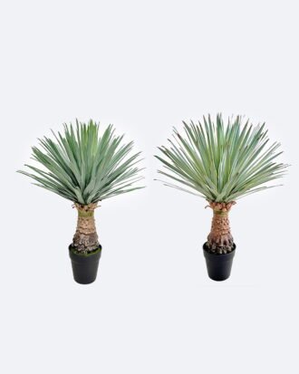 Artificial Plant 50*50*65cm Scarecrow in PP pot/156 lvs GS-41926022-G2 2026Oct 3,000+ sqm showroom with thousands of artificial flowers, plants & trees ready for global sourcing. Artificial Plant 50*50*65cm Scarecrow in PP pot/156 lvs GS-41926022-G2 2026Oct 3,000+ sqm showroom with thousands of artificial flowers, plants & trees ready for global sourcing.
