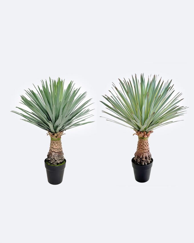 Artificial Plant 50*50*65cm Scarecrow in PP pot/156 lvs GS-41926022-G2 2026Oct 3,000+ sqm showroom with thousands of artificial flowers, plants & trees ready for global sourcing.