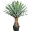 Artificial Plant Scarecrow in PP pot 156 lvs GS-41926022-G2_2 Artificial Plant 50*50*65cm Scarecrow in PP pot/156 lvs GS-41926022-G2 2026Oct 3,000+ sqm showroom with thousands of artificial flowers, plants & trees ready for global sourcing.