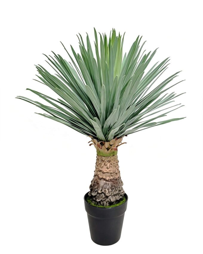 Artificial Plant 50*50*65cm Scarecrow in PP pot/156 lvs GS-41926022-G2 2026Oct 3,000+ sqm showroom with thousands of artificial flowers, plants & trees ready for global sourcing.