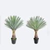 Artificial Plant Scarecrow in PP pot 156 lvs GS-41926023-G2 Artificial Plant 55*55*75cm Scarecrow in PP pot/156 lvs GS-41926023-G2 2026Oct 3,000+ sqm showroom with thousands of artificial flowers, plants & trees ready for global sourcing.