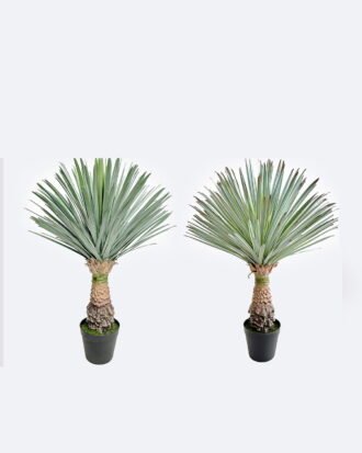 Artificial Plant 55*55*75cm Scarecrow in PP pot/156 lvs GS-41926023-G2 2026Oct 3,000+ sqm showroom with thousands of artificial flowers, plants & trees ready for global sourcing. Artificial Plant 55*55*75cm Scarecrow in PP pot/156 lvs GS-41926023-G2 2026Oct 3,000+ sqm showroom with thousands of artificial flowers, plants & trees ready for global sourcing.