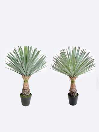 Artificial Plant 50*50*65cm Scarecrow in PP pot/156 lvs GS-41926022-G2 2026Oct 3,000+ sqm showroom with thousands of artificial flowers, plants & trees ready for global sourcing.